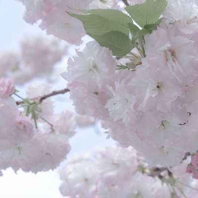 泉港福瑞交流群